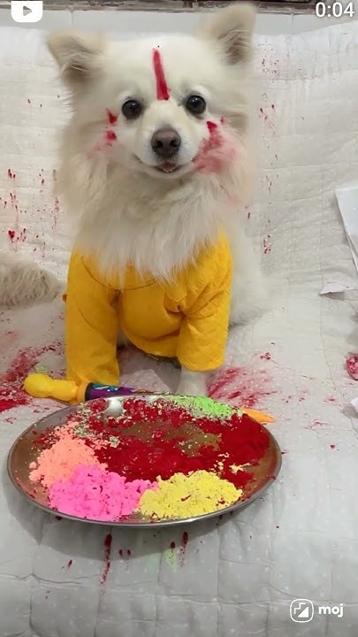 sali ke saath holi