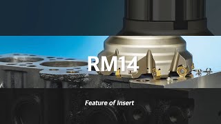 14코너 양면 7각형 페이스밀링 공구 RM14 (인써트)