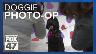 Say cheese! Pets pose for Valentine's Day photoshoot in Okemos