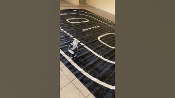 Robotis-Op2  Following the Line