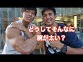 肩幅モンスターに質問!【筋トレ Q&A】