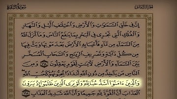 القارئ بدر التركي اليوم ٤ سورة البقرة من ١٤٢ حتى الآية ١٨٦