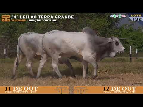 LOTE 132