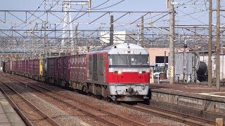 関西本線DF200　コンテナ貨物列車
