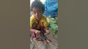 short video viral #video_viral #my first vlog #tiktok #Shorts #my_first_vlog_today