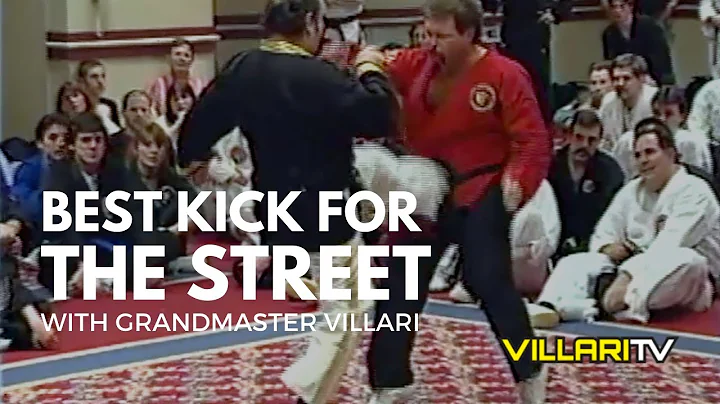Best Kick for Street Fighting - Grandmaster Villari