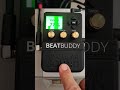 Ritmo Xote Nordestino kit Sample no Beatbuddy