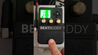 Ritmo Xote Nordestino kit Sample no Beatbuddy