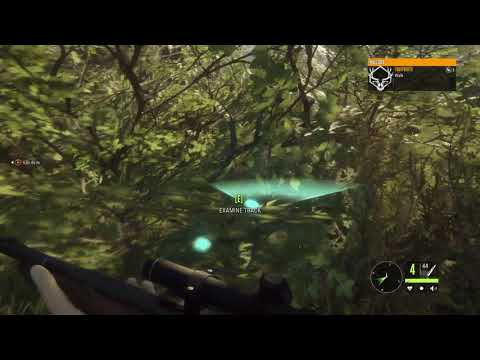 thehunter call of the wild pc gameplay thehunter call of the wild pc gameplay