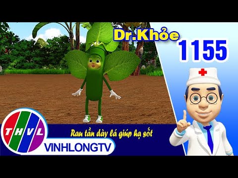 Video Dr. Khỏe - Tập 1155: Rau tần dày lá giúp hạ sốt - youtube