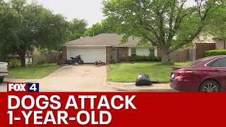 1yearold boy killed in Duncanville dog attack