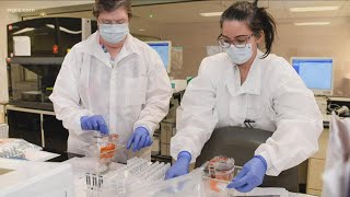 Covid Testing Gaps In Niagara County