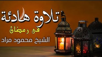 ان المتقين في مقام امين |تلاوة خاشعه من سورة الدخان للشيخ محمود مراد 🌿🌸🎤🎧