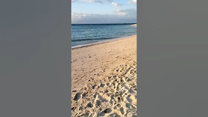 #lambugbeach #badiancebu