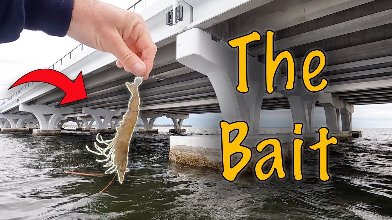 I Dropped This Bait Next To a Bridge and Caught a MONSTER FISH