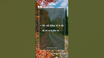 #159 Triết Lý Giáo Dục Tận Gốc #thauhieunoitamkientaoanvui #baihoccuocsong #wit #cauchuyennoitam