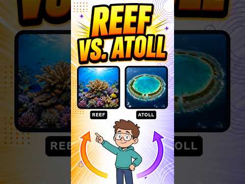 ✅ Reef vs Atoll: What’s the Difference? | Coral Reef Explained