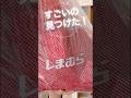 【しまむら】30秒で秋コーデ!40代主婦のチェックシャツ活用術
