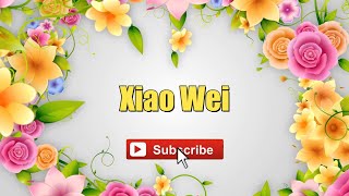 Xiao Wei - Huang Pin Yuan #lyrics #lyricsvideo #singalong