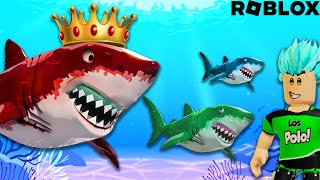 Soy el TIBURÓN más grande en ROBLOX be a shark!!