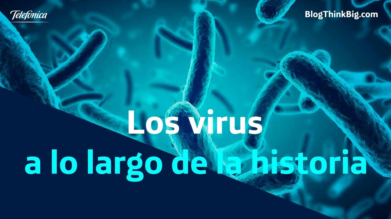 todos los virus mas peligrosos de la historia todos los virus mas peligrosos de la historia