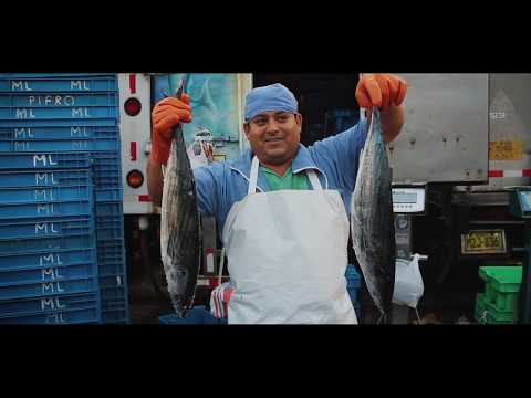 Vídeo: Com Felicitar Al Pare El Dia Del Pescador