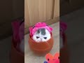 cute cat #cat # viral #short