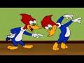Woody Clones Himself Woody Woodpecker 1 Hour Compilation 