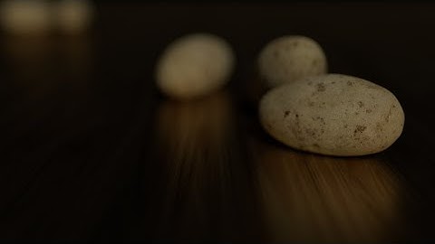 Blender 3D - Potato timelapse