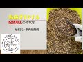 【サボテン・多肉植物】当店オリジナル配合（基本）用土の作り方