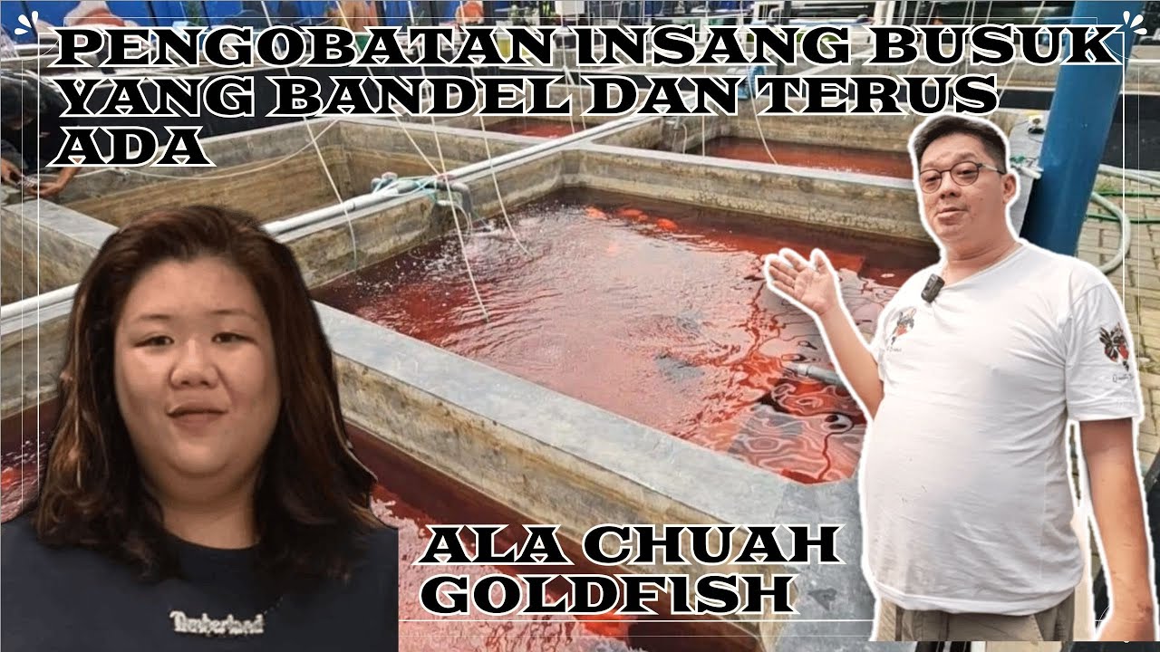 TERBARU !!! PENGOBATAN INSANG BUSUK YANG MEMBANDEL DAN TERUS MENERUS ADA