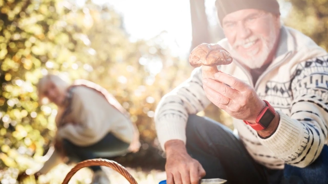 Discover the Fascinating World of Foragi