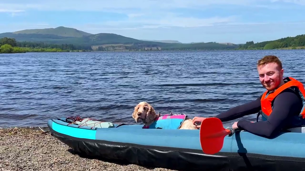 Reservoir Dogs Part 2 - Water Safety