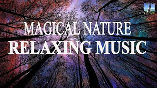 BEAUTIFUL RELAXING SOFT MUSIC AND MAGICAL NATURE VIDEO