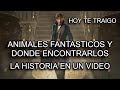 Resumen de la Historia | Animales Fantásticos Y Donde Encontrarlos | Hoy te Traigo