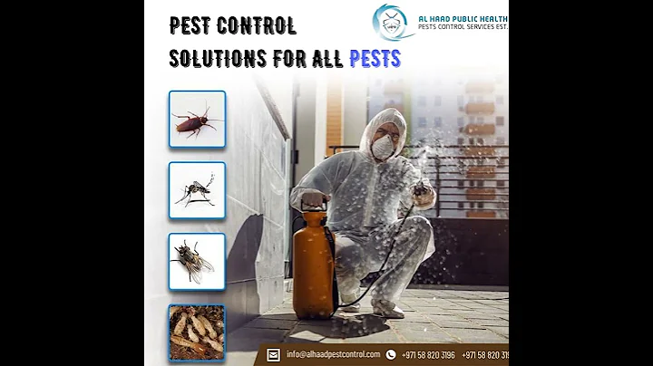 Pest Control Dubai | Termite, Cockroach, Mosquito & Fly Control – Al Haad Pest Control