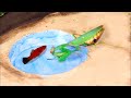 ¿QUÉ PASA SI UN MANTIS VE UN PEZ VIVO EN UN LAGO? UNA MANTIS DE PESCA - ¡LO ATRAPA!