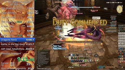 Final Fantasy XIV ARR all Trials Co-op Speedrun in 31:10!