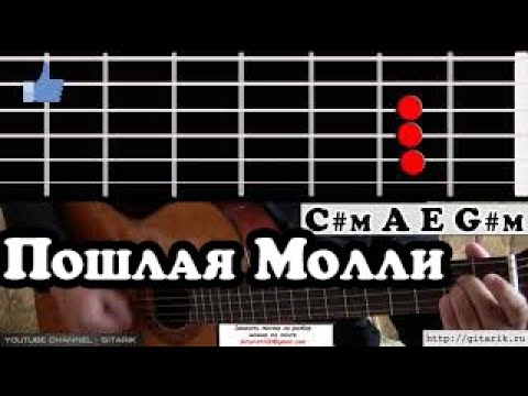 Песни пошлой молли на гитаре