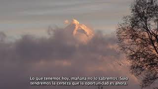 El Futuro Del Medioambiente