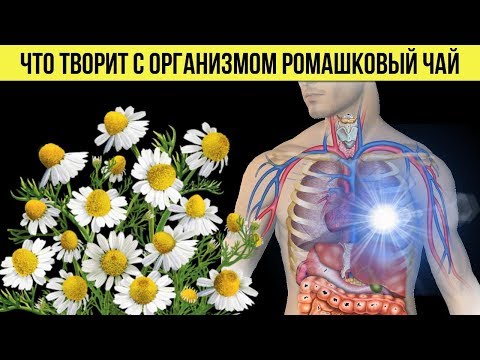 Видео: Что делает апигенин для сна?