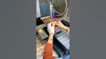 inside toy factory . paint sprayer#factoryworks #machine #automation #greatjob #shorts