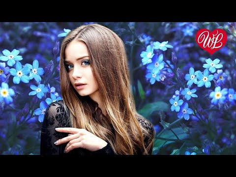 НЕЗАБУДКИ ♥ ХИТЫ ШАНСОНА ДЛЯ ТАНЦПОЛА WLV ♥ ПЕСНЯ ЗАЖИГАЛКА ♥ RUSSISCHE MUSIK RUSSIAN MUSIC HITS WLV