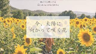 いま 太陽に向かって咲く花 歌詞 Nobu ふりがな付 うたてん いま 太陽に向かって咲く花 歌詞 Nobu ふりがな付 うたてん