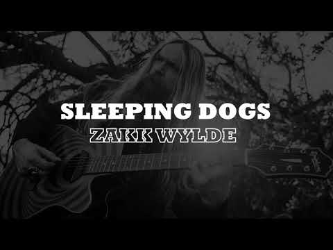 Sleeping Dogs - Zakk Wylde 