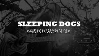 Sleeping Dogs (tradução) - Zakk Wylde - VAGALUME