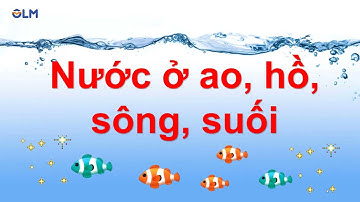 Các nguồn nước trong môi trường sống