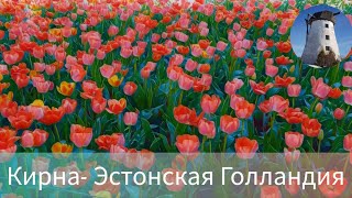 Эстония. Мыза Кирна - место, где можно зарядиться энергий и поправить здоровье⚘️⚘️⚘️.