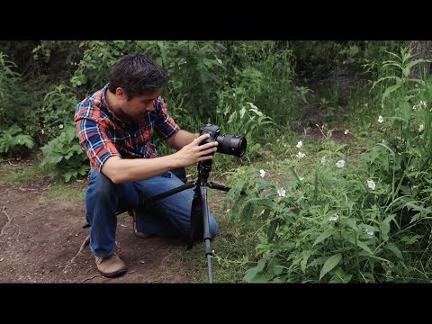 The Camera Store Guys Give The Canon 5DSR A Hands-On Field Test