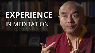 Experience in Meditation with Yongey Mingyur Rinpoche